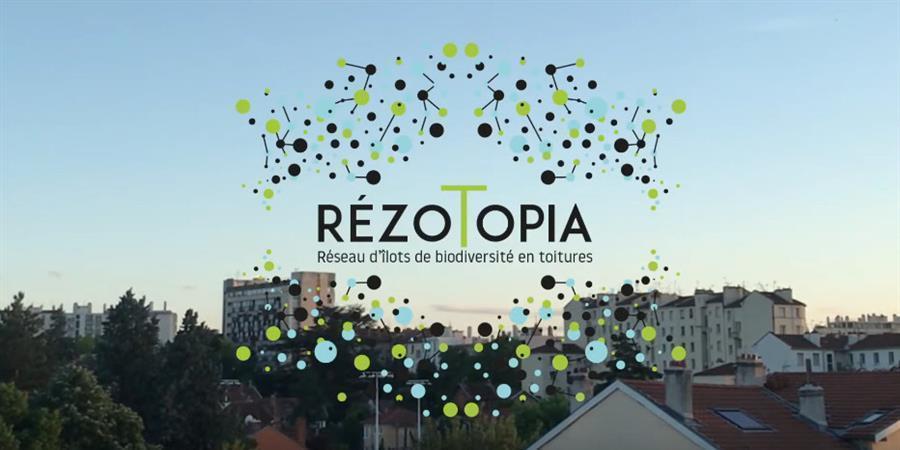 RézoTopia, réseau d&#39;îlots de biodiversité en toiture