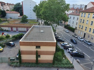 Rue du 4 Août, arbre coupé et toit de l'école