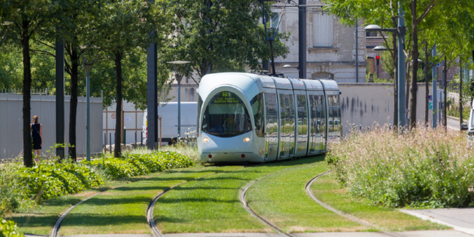 2022-05-09 00_01_03-Entretien des espaces verts du tramway T4 et surlargeurs..png
